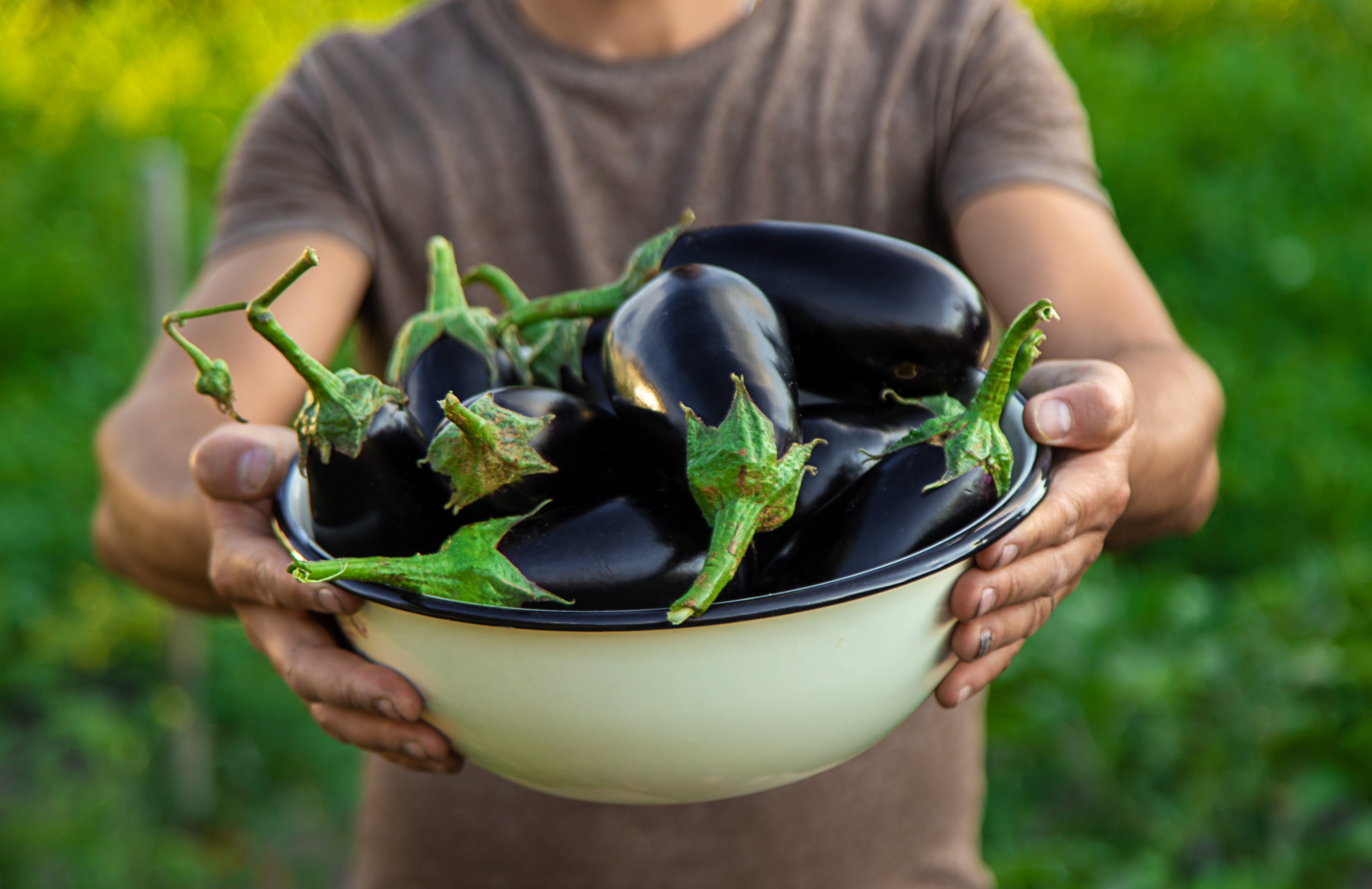 Fire Roasted Eggplant with Red Peppers – Pickerfresh